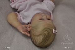 0522amelia22