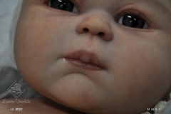0522amelia40