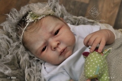 0523luiza11