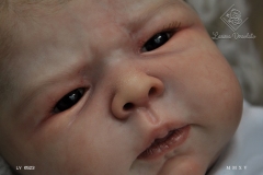 0523luiza22