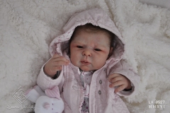 0527lia01