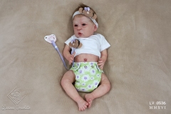0536polyanna48