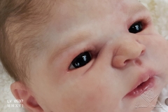 0537lorenzo14