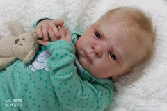 0543benicio17