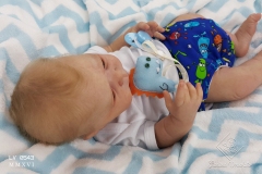 0543benicio31