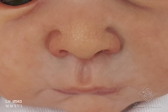 0543benicio35