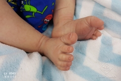0543benicio38