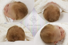 0547amora09