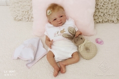 0547amora11