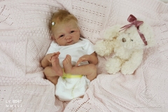 0547amora17