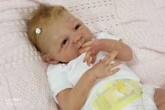 0547amora20