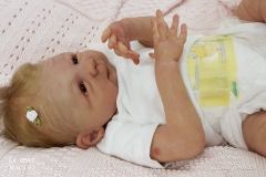 0547amora21