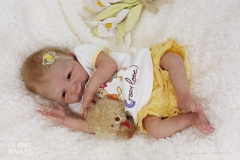 0547amora27