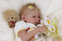 0547amora29
