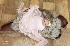 0547amora31