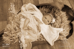 0547amora33