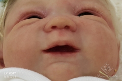 0547amora44