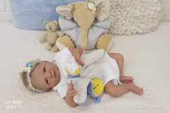 0547amora52