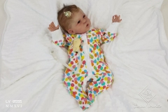 0555polly16