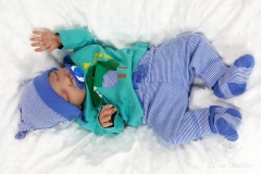 0556gael11