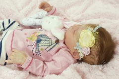 0559anaemilia02