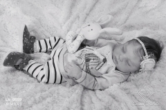 0559anaemilia03
