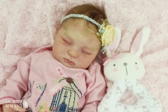 0559anaemilia04