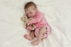 0559anaemilia13