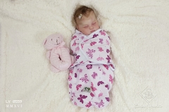 0559anaemilia15