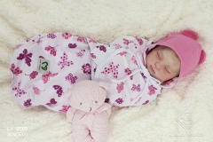 0559anaemilia16