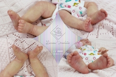0559anaemilia18