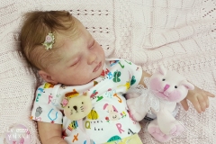 0559anaemilia20