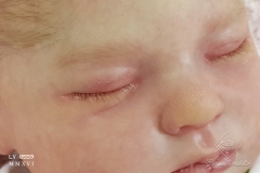 0559anaemilia22