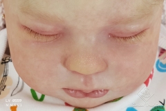 0559anaemilia24