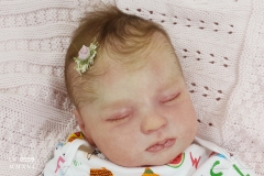 0559anaemilia26