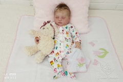 0559anaemilia30