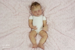 0559anaemilia31