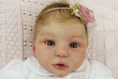0561stella14