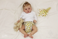 0561stella19