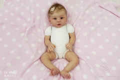 0561stella26