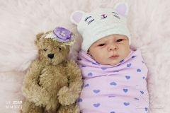 0569amoraliz06
