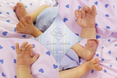 0569amoraliz12