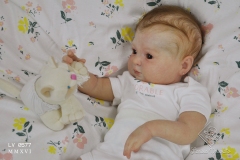 0577gisa06