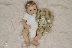 0577gisa10
