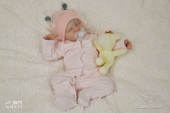 0579aurelia02