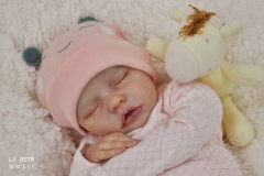 0579aurelia04