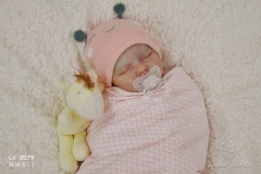 0579aurelia06