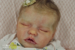 0579aurelia08