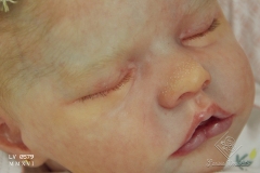 0579aurelia09