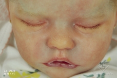 0579aurelia10